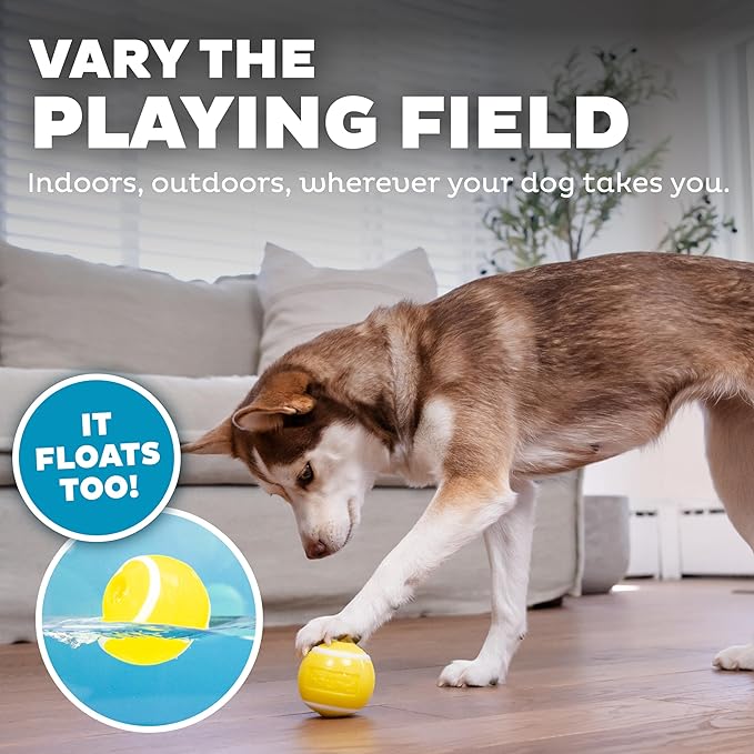 Outward Hound Sport Ballz Tennis Ball Treat-Dispensing Fetch Ball Dog Toy