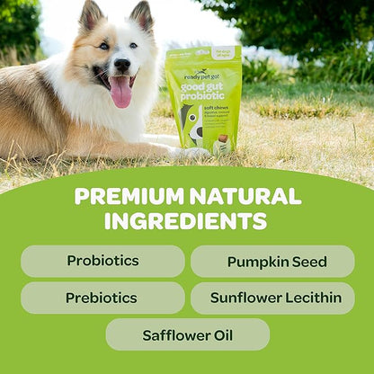 Probiotic Chews for Dogs Gut Health | Tasty Pro and Prebiotics for Dogs Digestive Health Immunity Itchy Skin & Seasonal Allergy Support with Pumpkin Dog Probiotics and Digestive Enzymes | 60 Chews