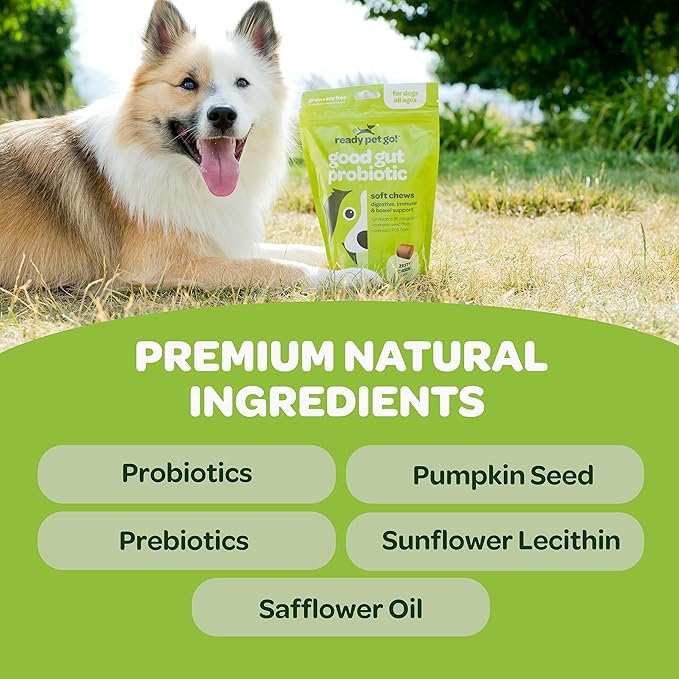 Probiotic Chews for Dogs Gut Health | Tasty Pro and Prebiotics for Dogs Digestive Health Immunity Itchy Skin & Seasonal Allergy Support with Pumpkin Dog Probiotics and Digestive Enzymes | 60 Chews