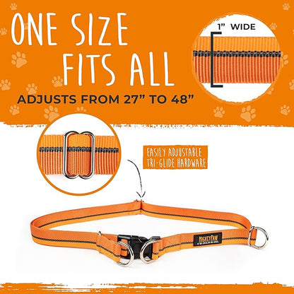 Mighty Paw Hands Free Dog Leash | Bungee Waist Leash for Dog Walking. Dog Running Leash Hands Free. Hands Free Leash for Large Dogs, Medium & Small Dogs. Dog Leash Waist Belt (36" - 48") Up To 150 lbs