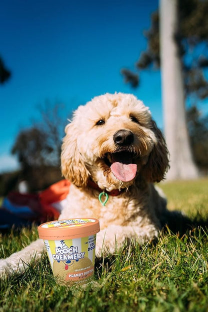 Pooch Creamery Ice Cream Mix for Dogs - Peanut Butter …