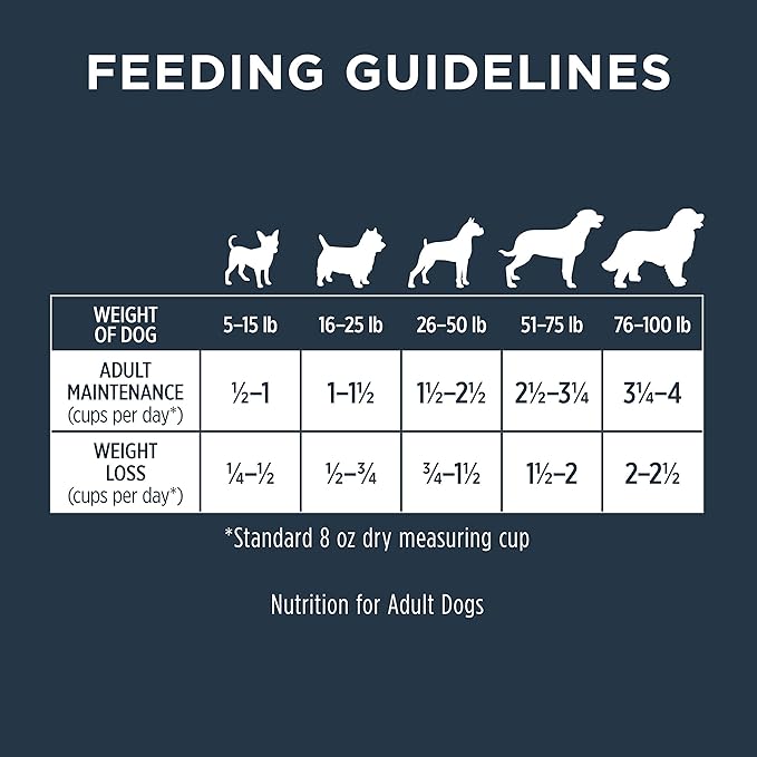 Instinct Raw Boost Gut Health Grain Free Recipe with Real Chicken Natural Dry Dog Food by Nature's Variety, 18 lb. Bag