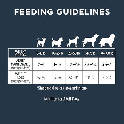 Instinct Raw Boost Gut Health Grain Free Recipe with Real Chicken Natural Dry Dog Food by Nature's Variety, 18 lb. Bag