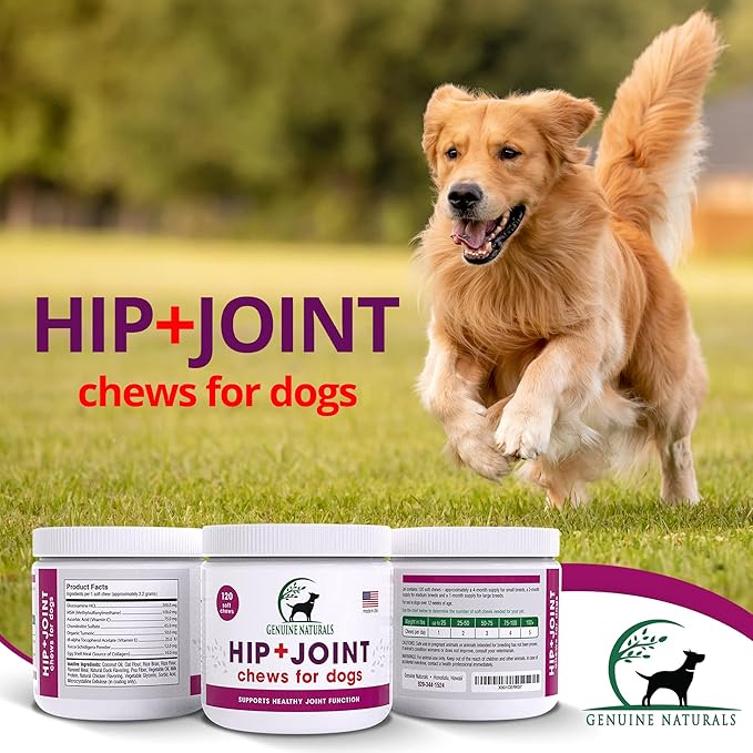 Hip and Joint Supplement for Dogs - Glucosamine Chondroitin, MSM, Organic Turmeric Soft Chews, Dog Vitamins, Supports Healthy Joint Function and Helps with Pain Relief,120 Count