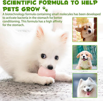 Probiotic for Dogs, 2 Pack Natural 3 in 1 Dog Probiotic Drops Helps to Diarrhea & Upset Stomach Relief, Supports Healthy Digestive System, Allergies, Digestive Enzyme for Dog, Bacon Flavor - 60ml x 2