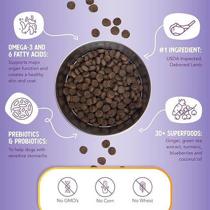 Health Extension Dry Dog Food, Natural Food for All Puppies & Dogs with Added Vitamins & Mineral, Lamb & Brown Rice Recipe (1 Lb / 0.4 Kg)