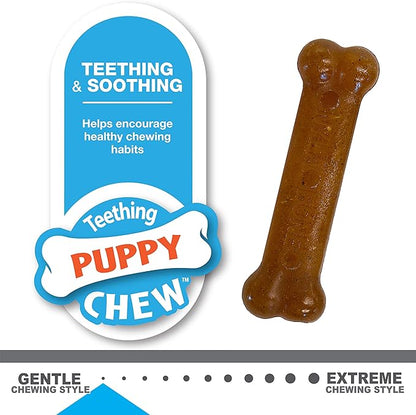 Nylabone Classic Puppy Chew Toy Twin Pack - Puppy Chew Toys for Teething - Puppy Supplies - Chicken & Peanut Butter Flavor, X-Small/Petite, 2 Count (Pack of 1)