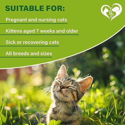 Natural Flea & Tick Collar for Cats - 12 Months Control of Best Prevention & Safe Treatment - Anti Fleas and Ticks Essential Oil Repellent (1 pack)