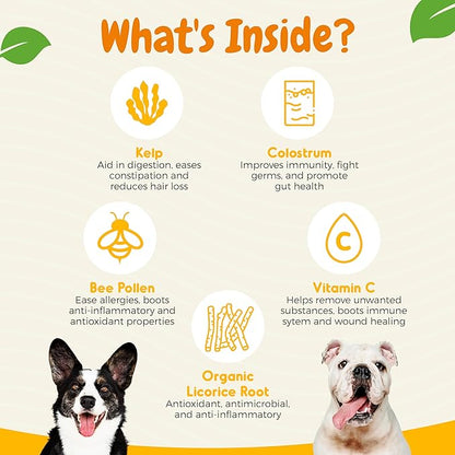 Dog Allergy Chews – 120 Soft Chews for Dog Allergy Relief – Natural Vegetable Flavor Allergy Immune Supplement for Dogs – Soothing and Calming Dog Treats