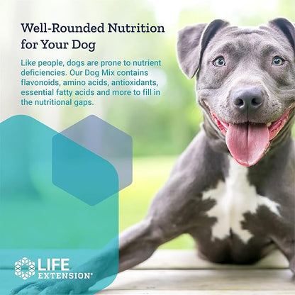 Life Extension Dog Mix - Daily Nutrition Care Supplement Powder for Your Canine Pet - Advanced Formula with Vitamins, Probiotics & Essential Fatty Acids - Gluten-Free, Non-GMO – 100 g, 60 Servings