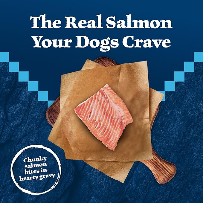 Blue Buffalo Wilderness Trail Toppers Wild Cuts High Protein Natural Wet Dog Food, Chunky Salmon Bites in Hearty Gravy 3-oz pouches (Pack of 24)