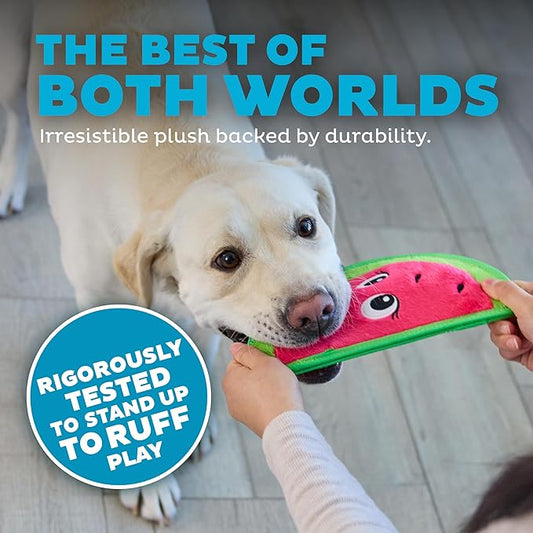 Outward Hound Tough Skinz Durable Squeaky Dog Toy with Two Tough Layers, Watermelon, Red, Medium