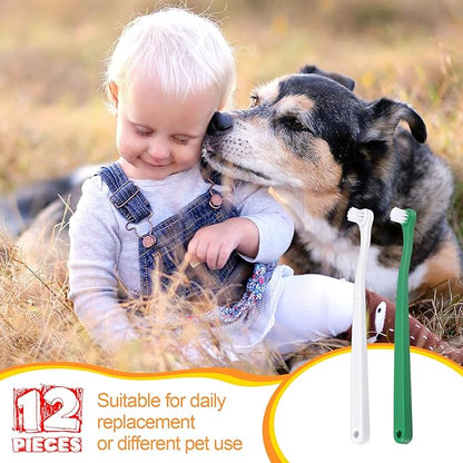 Yinder 12 Pcs Cat Toothbrush Small Dog Toothbrush Mini Head Soft Bristles Dog Tooth Brush Gentle Pet Toothbrush Long Handle Tooth Brush for Puppy Cats Large and Small Dog Dental Care (2 Colors)