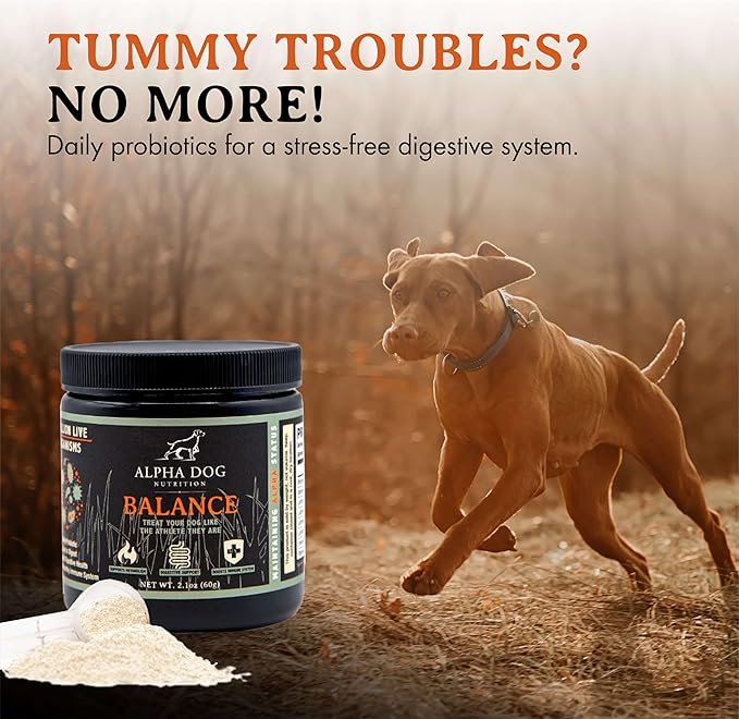Balance Probiotic Blend for Dogs by Alpha Dog Nutrition