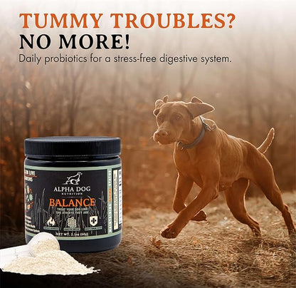 Balance Probiotic Blend for Dogs by Alpha Dog Nutrition