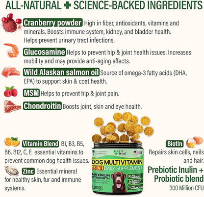Dog Multivitamin Chewable with Glucosamine -Made in USA- Puppy & Senior Supplement - 120 Treats - Dog Vitamins and Supplements - Skin, Heart, Immunity, Hip & Joint Support + Salmon Oil + Probiotics
