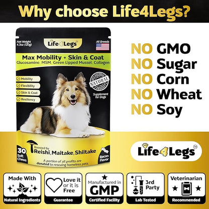 Soft Chews Hip and Joint Supplement for Dogs - Dog Joint Pain Relief Treats - Glucosamine, Chondroitin, Turmeric- Mobility Supplement (Hip & Joint + Skin & Coat, Bacon - 30 Soft Chews)