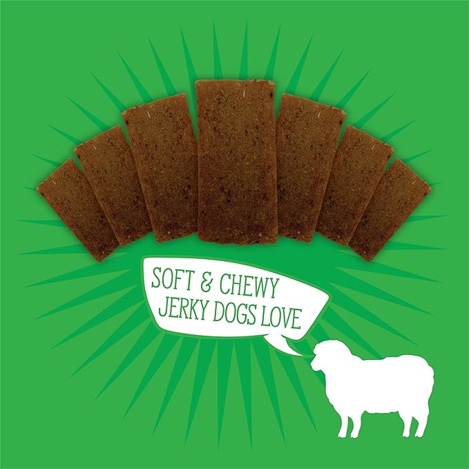 Evolve Classic Lamb & Brown Rice Jerky Bites Soft Dog Treats | 12 oz