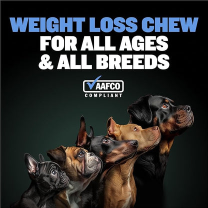 Bully Max 2-in-1 Dog Weight Loss Supplement Chews for Adult & Senior Dogs - Dog Food Supplements for Immunity, Joint Health & Weight Control - Dog Treats for Small & Large Breeds - 75 Soft Chews