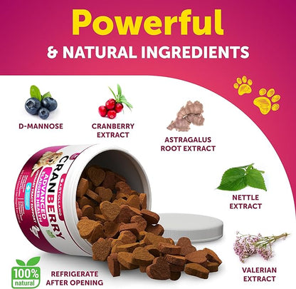 Dog UTI Treatment - Cranberry Supplement for Dogs - Bladder Control for Dogs - Dog Urinary Tract Infection Treatment - UTI Medicine for Dogs - Dog Cranberry Supplement - Kidney Support - 120 Chews