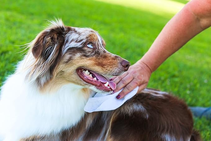 Grooming Wipes Hypo-Allergenic, Fragrance Free 100 ct
