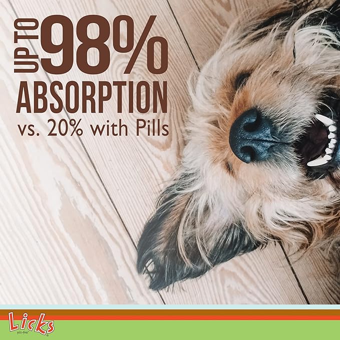 Licks Pill-Free Dog Digestion - Dog Gut Health and Gas Relief - Bloating Relief and Digestion Supplement for Dogs - Dog Health Supplies - Gel Packets - 10 Use