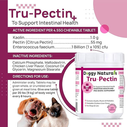 Tru-Pectin Anti-Diarrheal for Dogs & Cats, 250 Tablets– Chicken Liver Flavor –Helps Reduce Occasional Loose Stool & Diarrhea, Balance Gut pH, Support Normal Digestion & Gut Flora -Made in USA