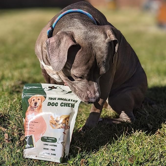 True Himalayan Yak Cheese Dog Chews Long Lasting Odor Free Dental Chews for Dogs, Natural Cheesy Dog Bones for Aggressive Chewers, Healthy Dog Treats (Small, 7, Count)