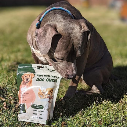 True Himalayan Yak Cheese Dog Chews Long Lasting Odor Free Dental Chews for Dogs, Natural Cheesy Dog Bones for Aggressive Chewers, Healthy Dog Treats (Small, 7, Count)