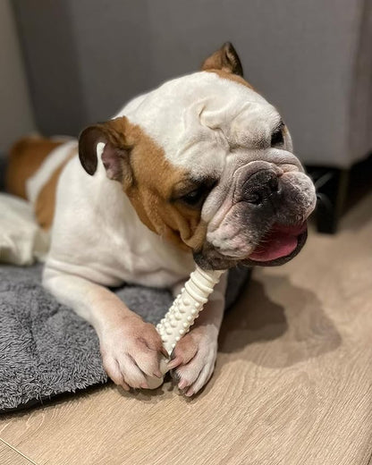 Nylabone Power Chew Textured Femur Bone Chew Toy for Dog, Indestructible Dog Toys for Aggressive Chewers Large Breed, Chicken Flavor, X-Large/Souper (1 Count)