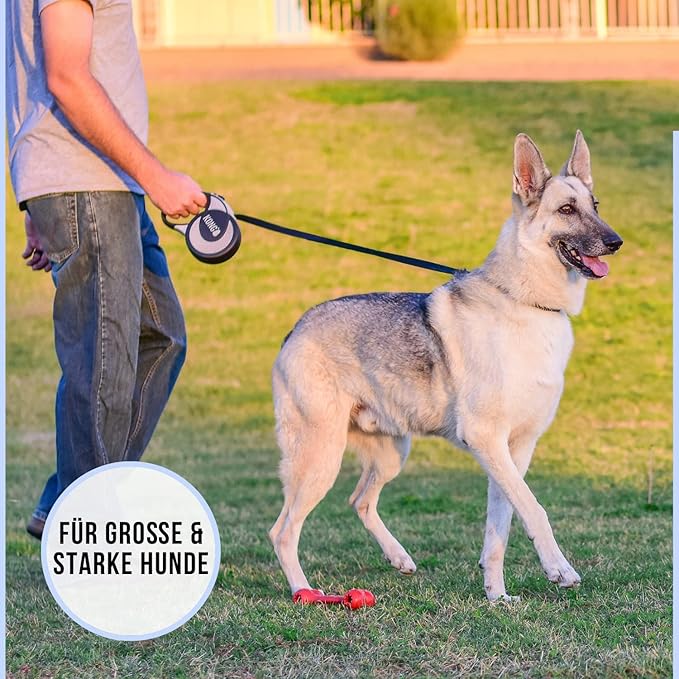 Alcott Kong Ultimate Retractable Dog Leash, Extra Large, Blue, 16' Long