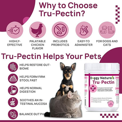 Tru-Pectin Anti-Diarrheal for Dogs & Cats, 250 Tablets– Chicken Liver Flavor –Helps Reduce Occasional Loose Stool & Diarrhea, Balance Gut pH, Support Normal Digestion & Gut Flora -Made in USA