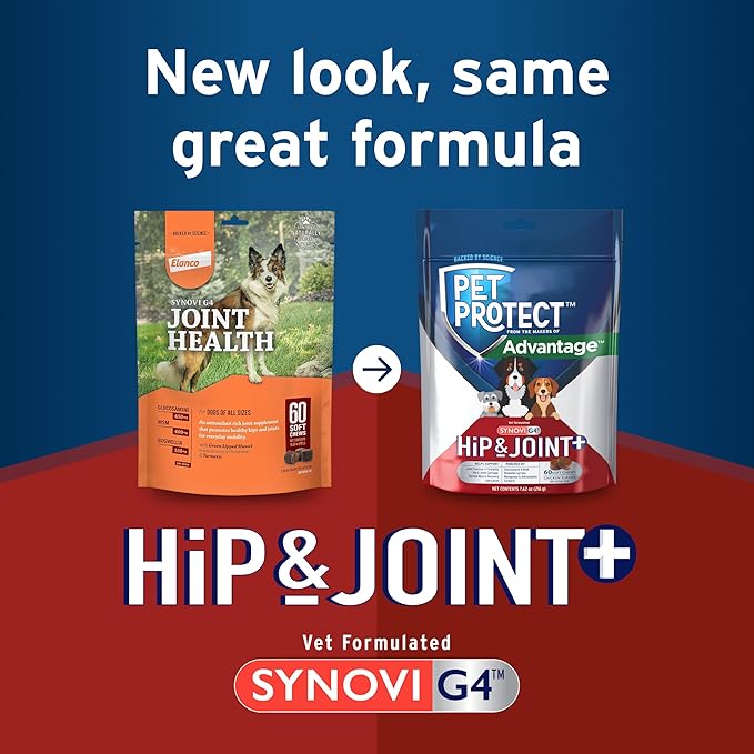 Pet Protect Synovi G4 Dog Joint Supplement Chews, 60-Count, for Dogs of All Ages, Sizes and Breeds