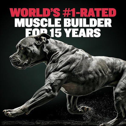 Bully Max 3-in-1 Liquid Muscle Building Supplement for Dogs. for all breeds & ages. Clinically tested. #1-rated brand since 2008