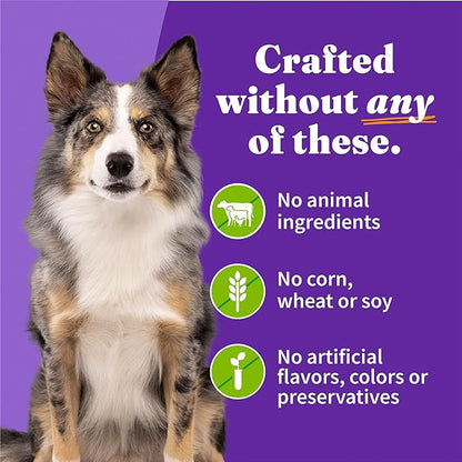 Halo Garden of Vegan Adult Wet Dog Food, Plant-Based, 5.5oz Can (Pack of 12)