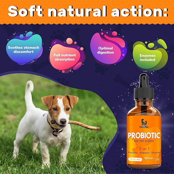 Probiotics for Dogs ◆ Cat Probiotic ◆ Great Dog Probiotics and Digestive Enzymes for Pet ◆ Dog Digestive Enzymes & Pure Prebiotic ◆ Canine Probiotic ◆ Probiotics for Cats ◆ Puppy Probiotic