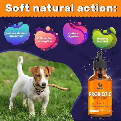 Probiotics for Dogs ◆ Cat Probiotic ◆ Great Dog Probiotics and Digestive Enzymes for Pet ◆ Dog Digestive Enzymes & Pure Prebiotic ◆ Canine Probiotic ◆ Probiotics for Cats ◆ Puppy Probiotic