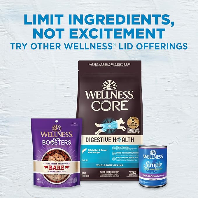 Wellness Simple Natural Limited-Ingredient Grain-Free Dry Dog Food, Easy to Digest for Sensitive Stomachs, Supports Skin & Coat (Turkey and Potato, 26-Pound Bag)
