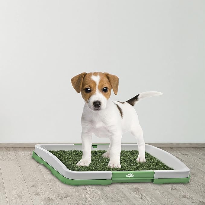 Artificial Grass Pee Pad Set for Dogs - Reusable Puppy Essential for Potty Training Small Pets Indoors and Outdoors by PETMAKER (Green)