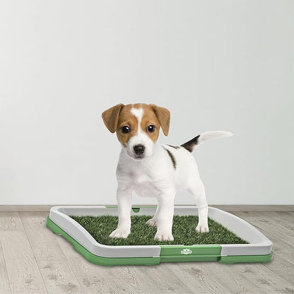 Artificial Grass Pee Pad Set for Dogs - Reusable Puppy Essential for Potty Training Small Pets Indoors and Outdoors by PETMAKER (Green)
