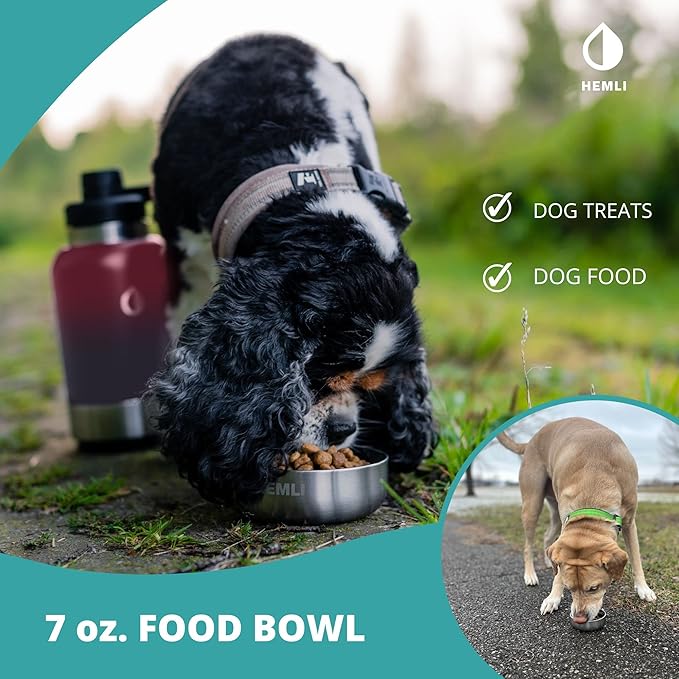 32 oz. Dog Water Bottle, Insulated Dog Travel Water Bottle, Stainless Steel Pet Water Bottle Dispenser Portable Food and Water Bowl for Dogs with Carrying Case for Walking Dog Canteen Travel Kit