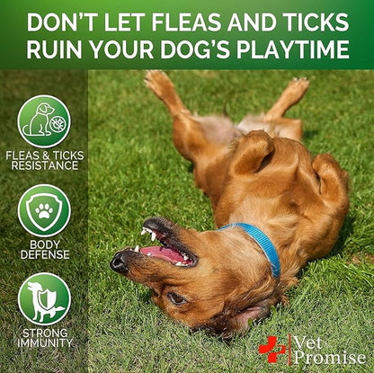 (2 Pack) Flea and Tick Prevention for Dogs Chewables - All Natural Dog Flea & Tick Control - Flea and Tick Chews for Dogs - Oral Flea Pills for Dogs Supplement - Made in USA - 240 Chews
