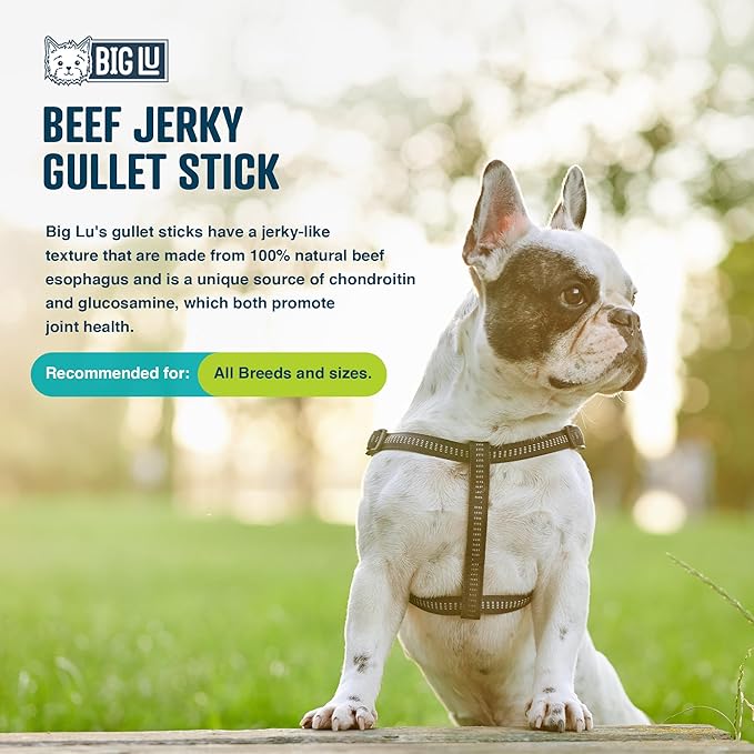 Big Lu - Jerky Gullet Stick Dog Chews, Premium 100% Beef, All-Natural Dog Treats, Rich in Glucosamine and Chondroitin for Joint Health, 6-Inch Sticks (12 Sticks)