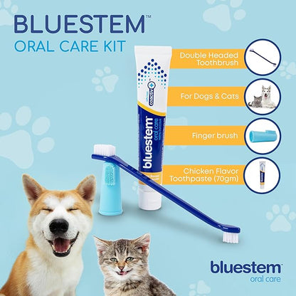 Bluestem Dog & Cat Toothbrush and Toothpaste Kit - Dog and Cat Toothpaste with Coactiv+ Technology to Reduce Tartar Buildup - Sticky and Long-Lasting Cat and Dog Toothpaste - Chicken Flavor