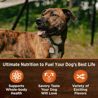 Wellness CORE Hearty Cuts Natural Wet Grain Free Canned Dog Food, Chicken & Turkey, 12.5-Ounce Can (Pack of 12)