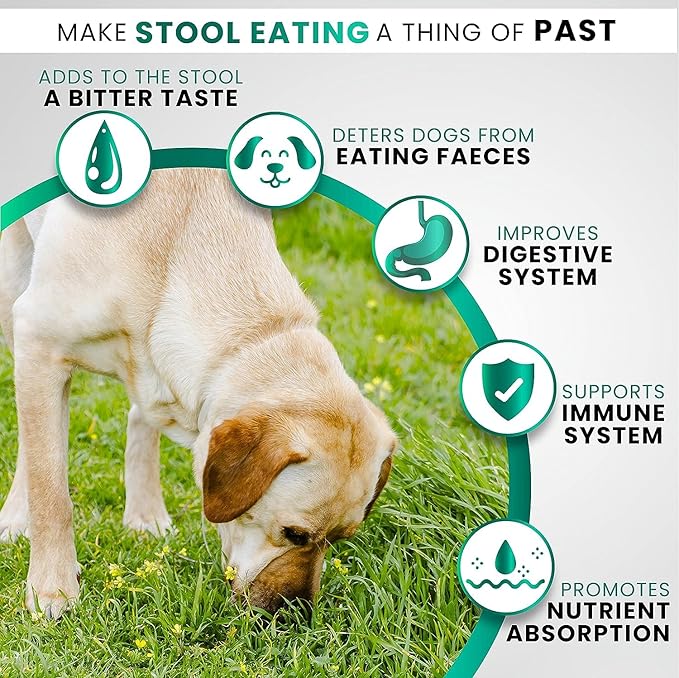 Grateful Pawz No Poo Chews for Dogs - Coprophagia Stool Eating Deterrent for Dogs -120 Chews Prevent Dog from Eating Poop - Stop Eating Poop for Dogs Supplement