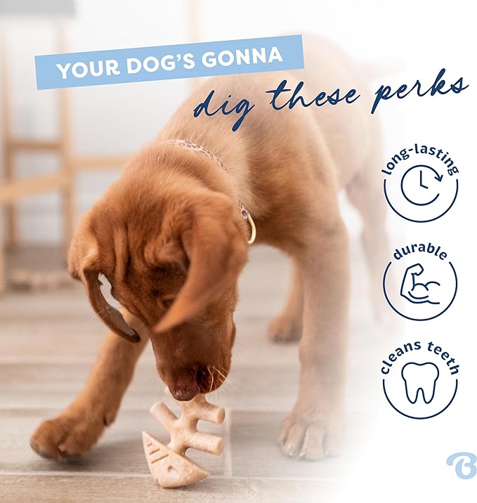 Benebone Puppy Fishbone Dog Chew Toys, Softer for Modest Chewers, Made in USA