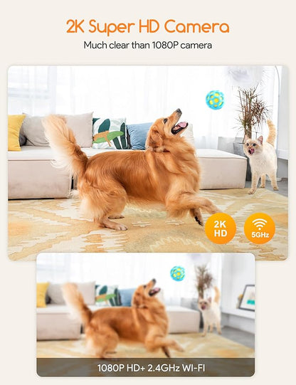 Meowant 2K Dog Camera with Treat Dispenser, Supports 5G & 2.4G WiFi, 360° View Pet Security Camera with Phone App, 2-Way Audio, with Motion Alert & AI Auto-Tracking Technology