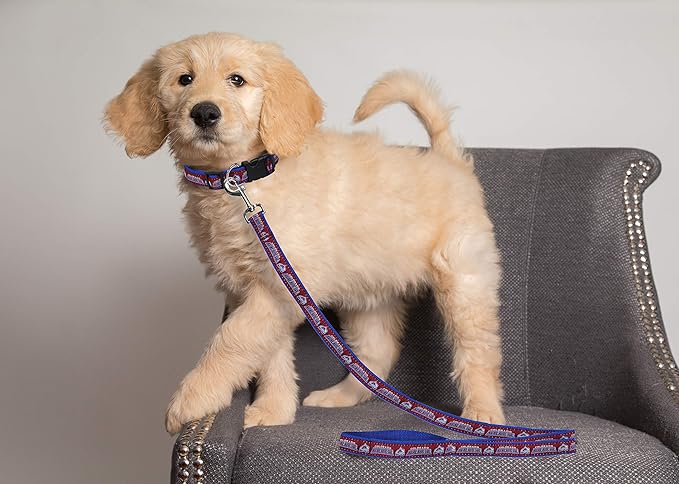 Pets First NHL Colorado Avalanche Leash for Dogs & Cats, Walk Cute & Stylish! The Ultimate Hockey Fan Leash!, Large (6 ft Long x 1 in Width) (AVA-3031-LG)