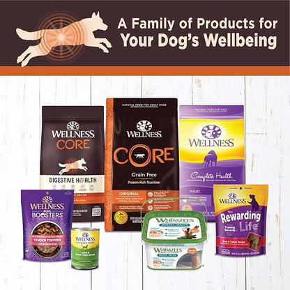 Wellness CORE Digestive Health Chicken & Beef Pate Variety Pack Grain Free Wet Dog Food, 13 Ounce Can (Pack of 6)